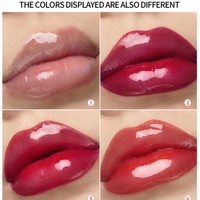 Lip Gloss with Hyaluronic Acid