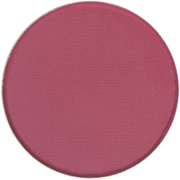 Single Eyeshadow in VAC Tray (Matte Finish) - Makeup Palette Pro