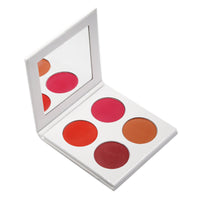 Blusher Palette( 4 shades) - Makeup Palette Pro