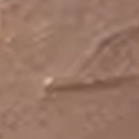 Eyebrow Tint